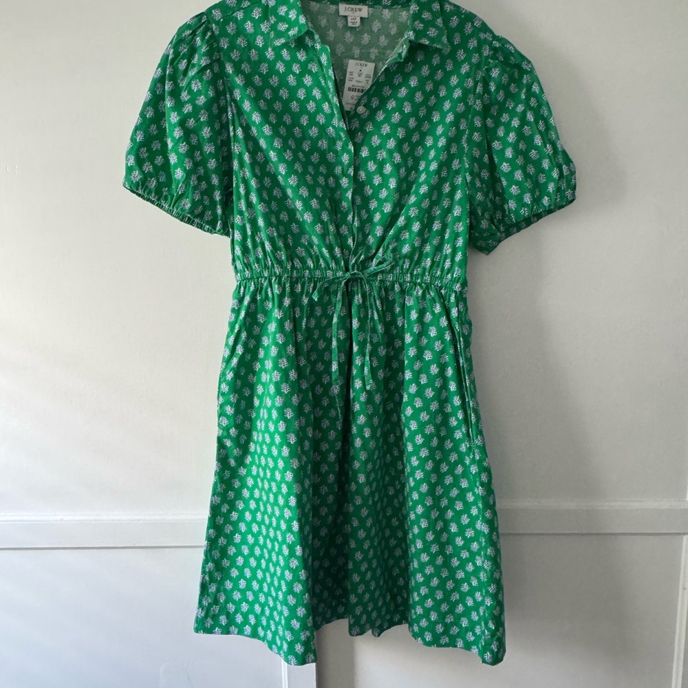 J.Crew Green Dress